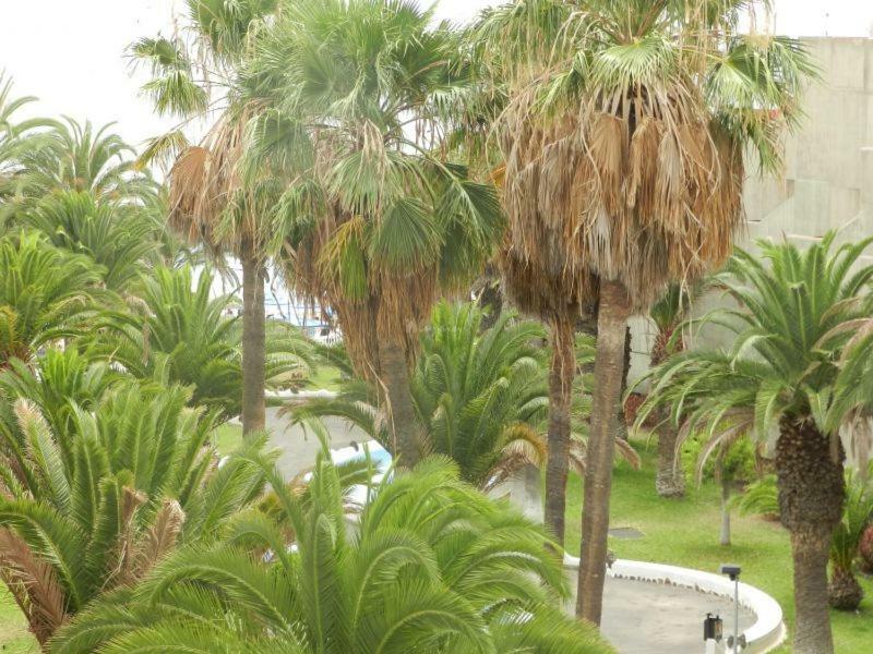 Beach-Front Tenerife Sth Sea And Pool View 德尔锡伦西奥海岸 外观 照片